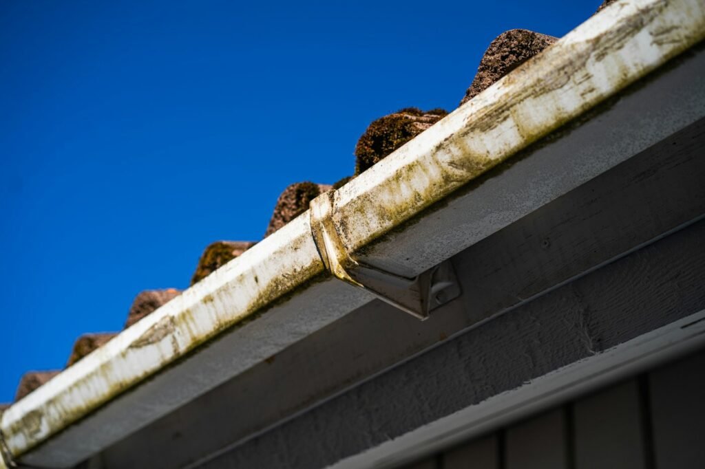 Guttering and fascia beneath a house roof